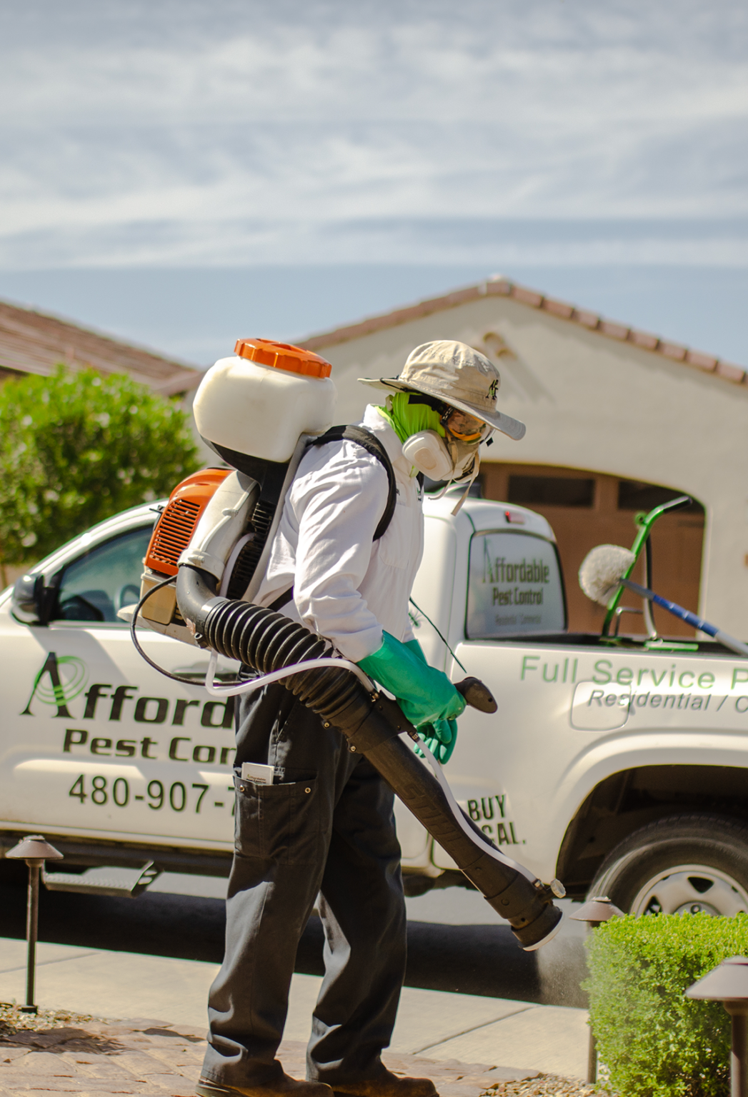 Affordable Pest Control: Affordable Pest & Termite Control Services