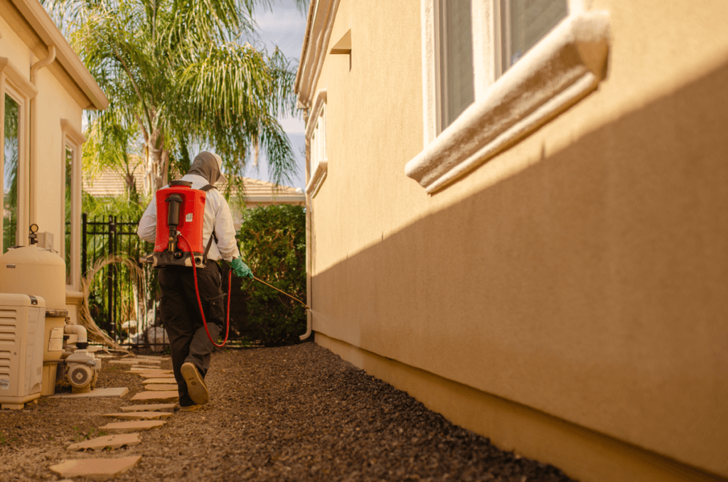 How Often Do You Need Pest Control Services in Arizona?