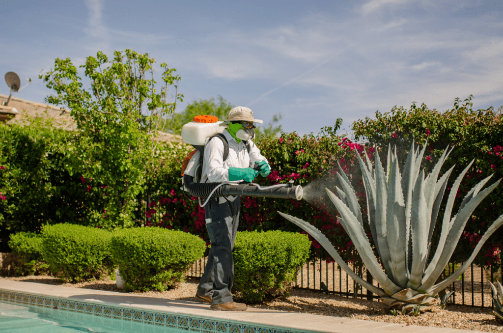 Tackling Common Fall Pests in Arizona: Safeguarding Your Home with Routine Pest Control