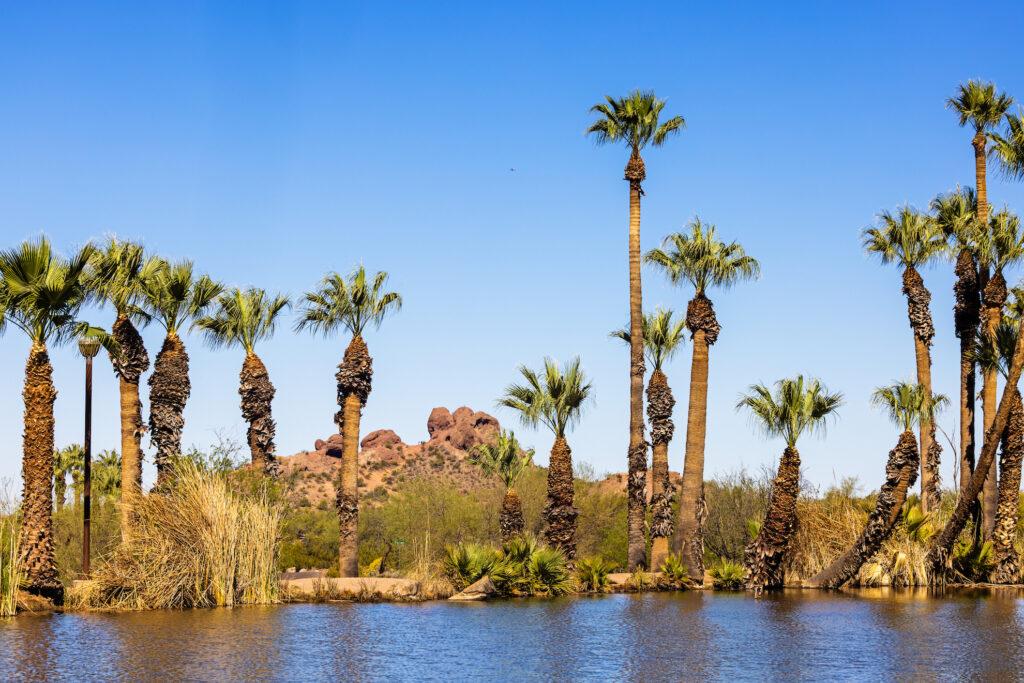 A beautiful landscape view of Papago Park in Tempe, Arizona | Spring Pests in Arizona | Affordable Pest Control