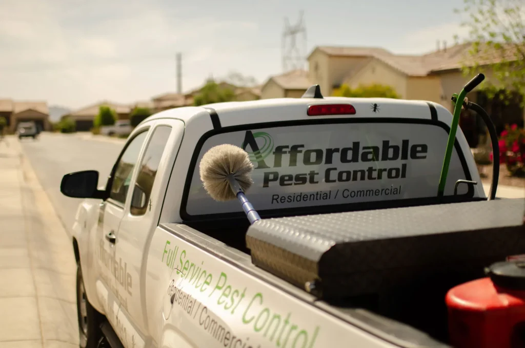 Affordable pest control solutions with professional services and quality products | Affordable Pest Control Queen Creek, AZ