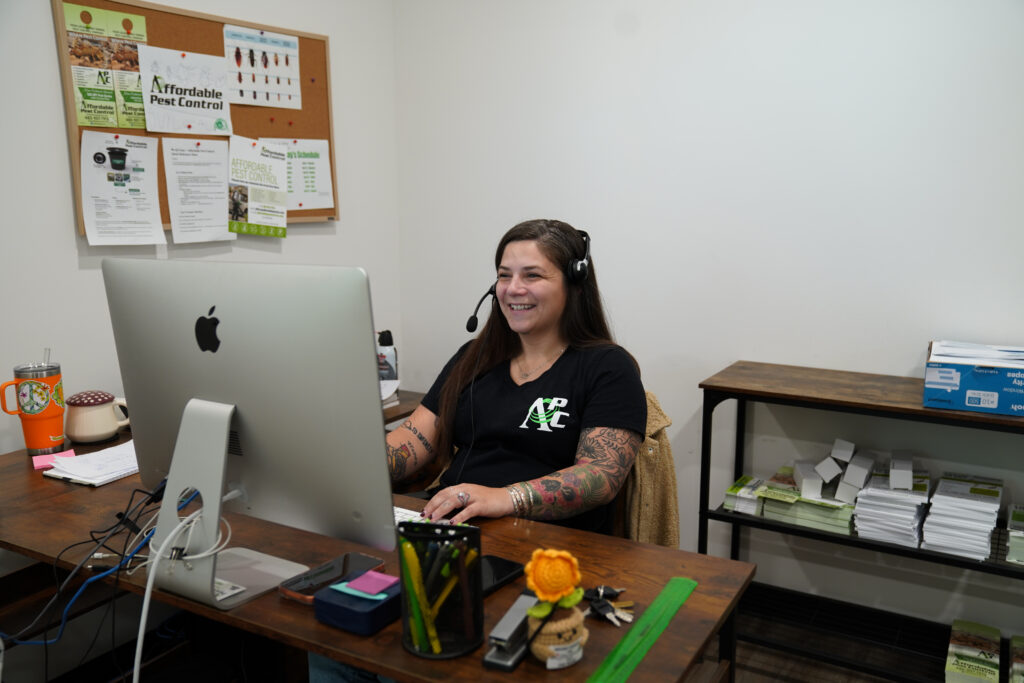 Rodent Exterminator: How to Get Rid of Rats and Mice for Good | Affordable Pest Control