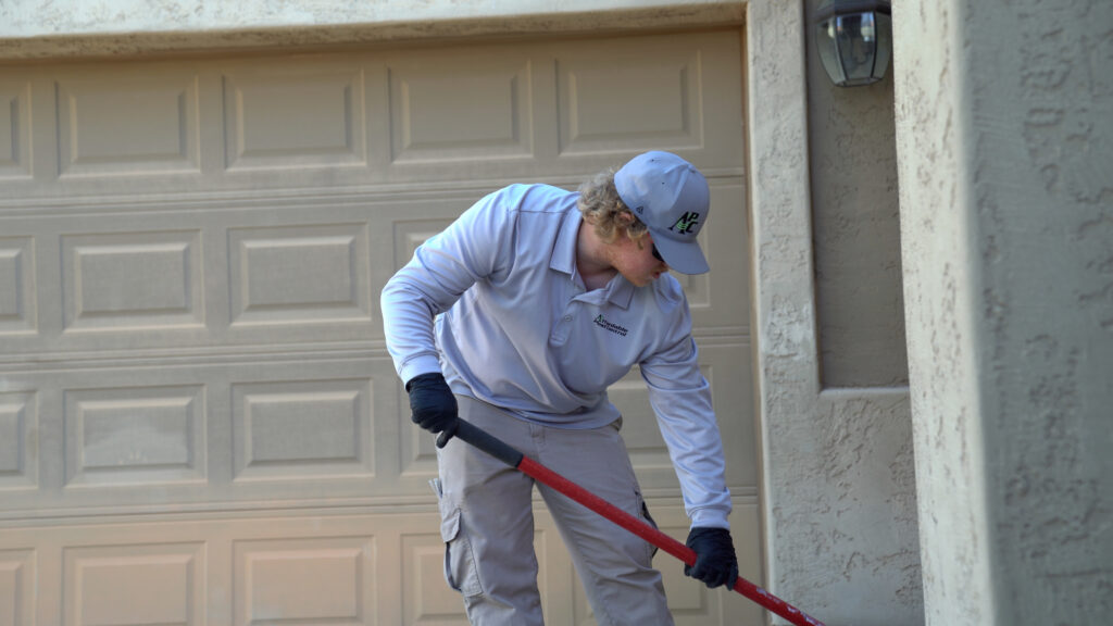 Termite Activity in Arizona: How Weather Increases Risk and Why Early Inspections Matter | Affordable Pest Control | Queen Creek, AZ